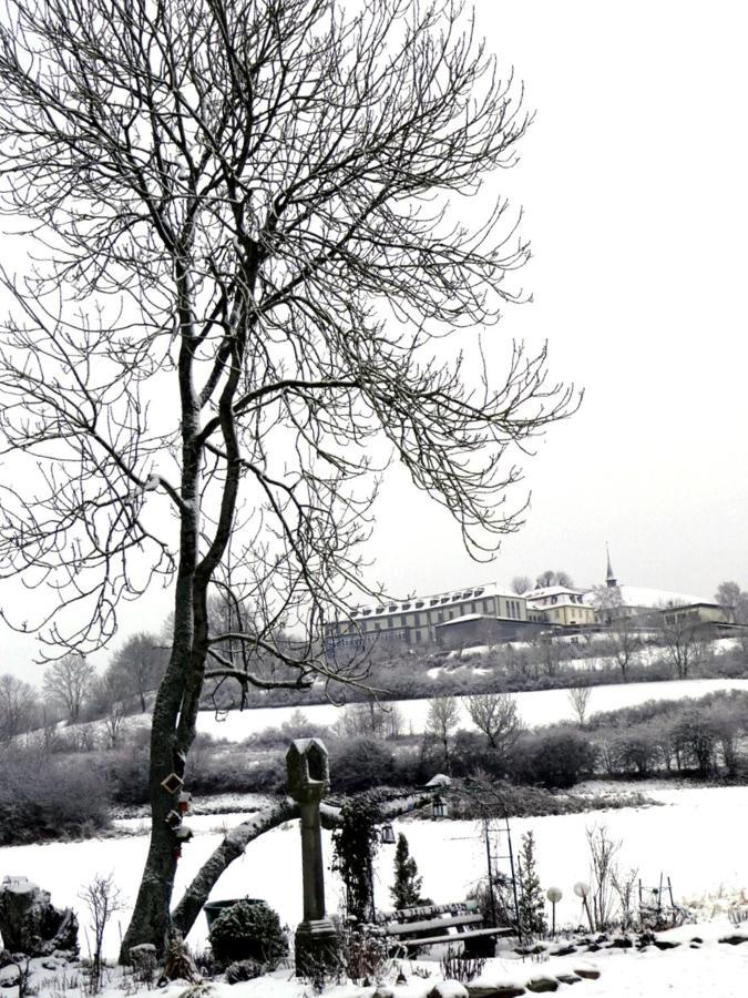 Ferienwohnung Am Klosterberg 6 Bad Brückenau Eksteriør bilde