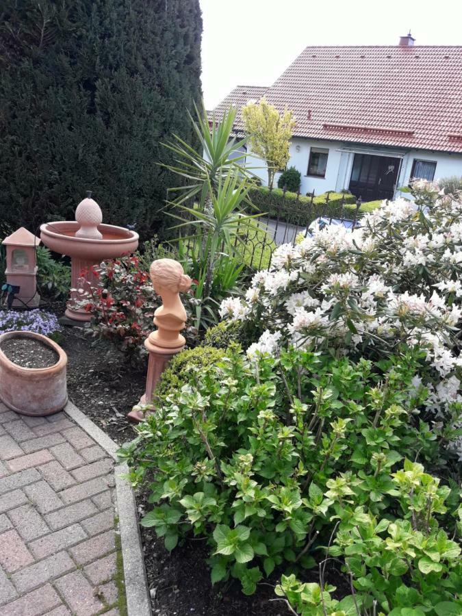 Ferienwohnung Am Klosterberg 6 Bad Brückenau Eksteriør bilde