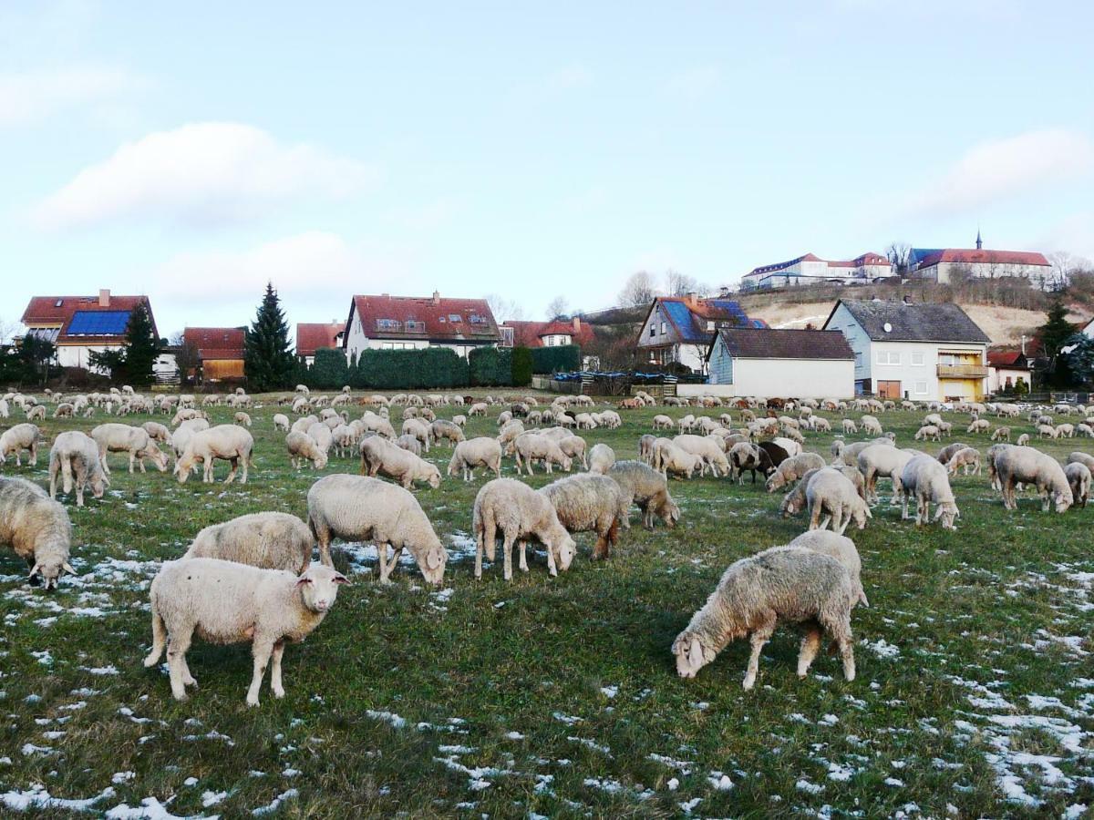 Ferienwohnung Am Klosterberg 6 Bad Brückenau Eksteriør bilde